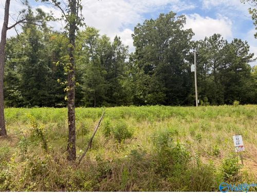 Lot 61 County Road 32, Piedmont, AL, 36272-4769 | Card Image