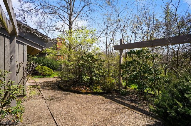 View of yard with a patio | Image 10