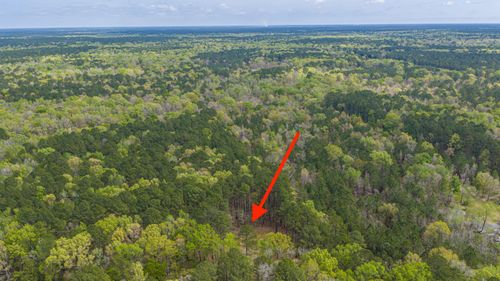 0 Busters Paradise Ln, Cordesville, SC, 29434 | Card Image
