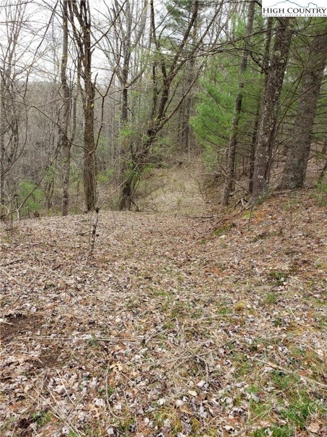 Logging road offshoot connecting points of property | Image 5