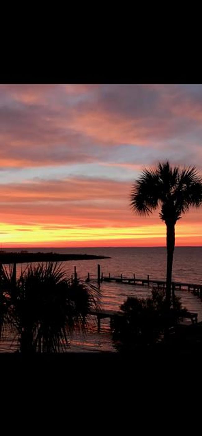 515 W Sawyer St, House other with 3 bedrooms, 3 bathrooms and 6 parking in St. George Island FL | Image 55