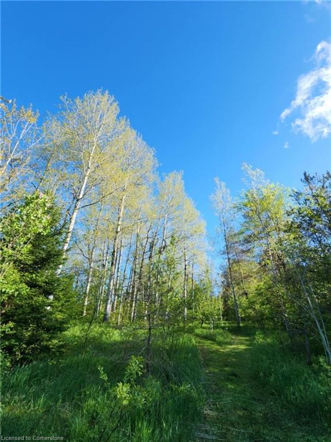 580330 Sideroad 60, House other with 4 bedrooms, 2 bathrooms and 14 parking in Berkeley ON | Image 41