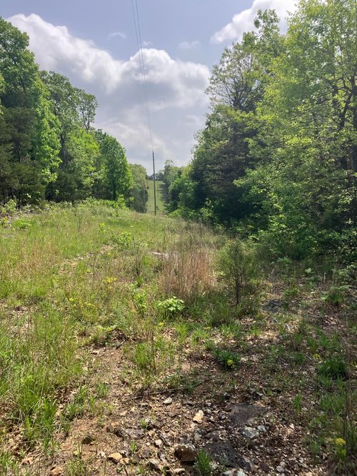 000 County Road V-234, Drury, MO, 65638 | Card Image
