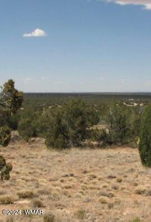 tbd 111-12-004b Chevelon, Heber, AZ, 85928 | Card Image