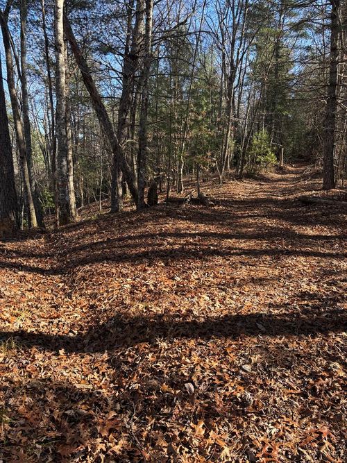 Lot 60 Thundering Hl, Murphy, NC, 28906 | Card Image