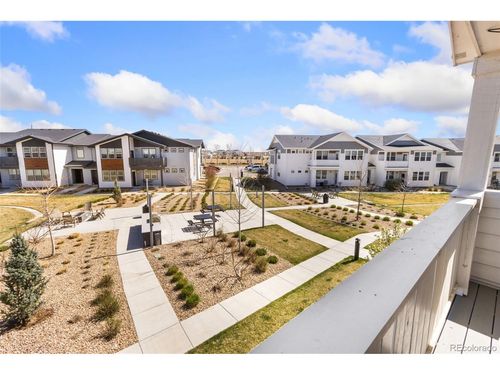 unit-3-1805 Bounty Dr, Windsor, CO, 80550-3727 | Card Image