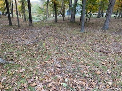 66 Beyers Lake Est, Pana, IL, 62557-9700 | Card Image