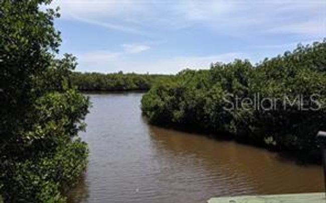 Bayou behind the Buildings | Image 27