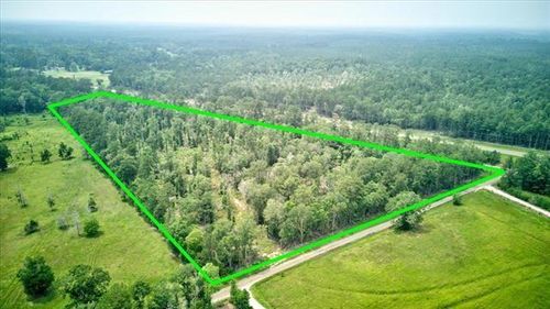 254 County Road 3063, Kirbyville, TX, 75956 | Card Image