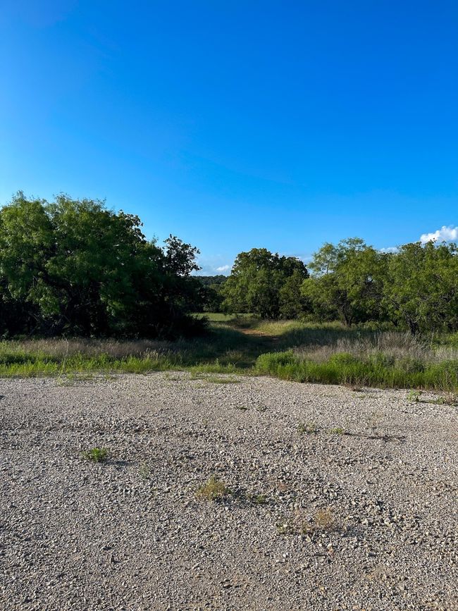 View of local wilderness | Image 10