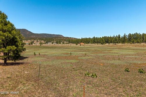 16 County Road 2089, Alpine, AZ, 85920 | Card Image