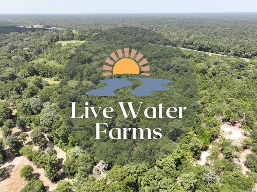 S1L3 Lake Pool Rd, Shepherd, TX, 77371 | Card Image