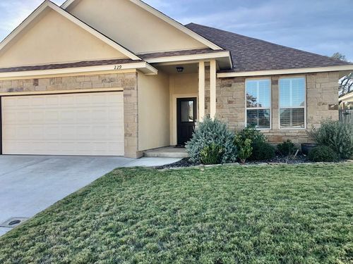 229 N Riley Lane, Fredericksburg, TX, 78624 | Card Image