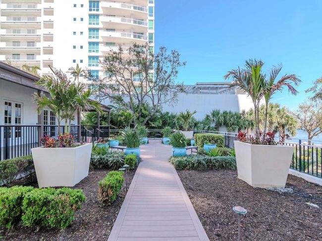 Garden | Image 37