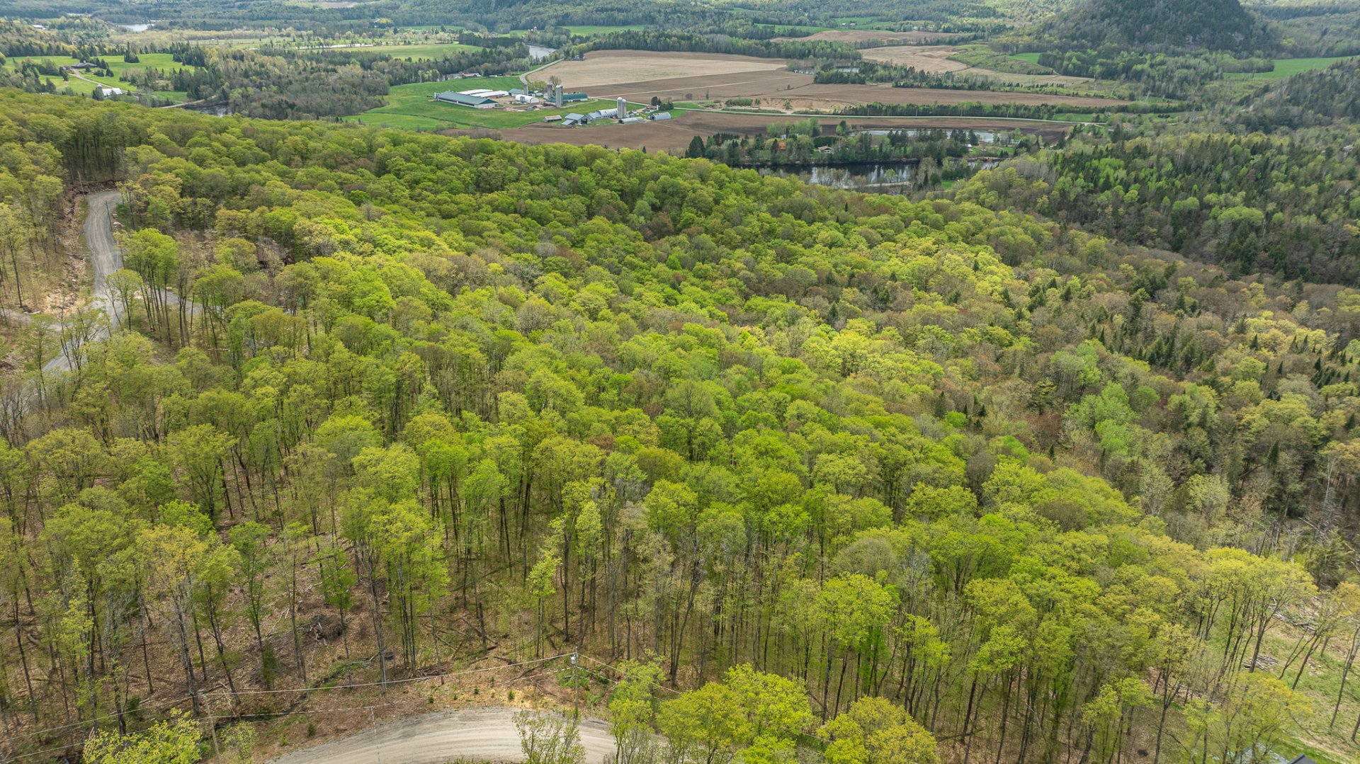 Land in Mont-Tremblant 3