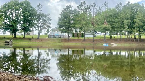 147 Paul Spears Rd, Summertown, TN, 38483-5104 | Card Image