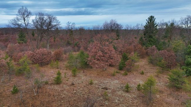 3726 N Custer Rd, Home with 0 bedrooms, 0 bathrooms and null parking in Manistee MI | Image 16