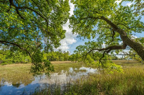 unit-7315-130 River Landing Dr, Daniel Island, SC, 29492-7417 | Card Image