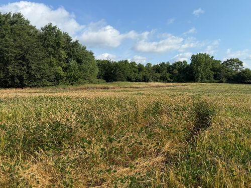 1400 (apx) W Exchange St, Crete, IL, 60417 | Card Image