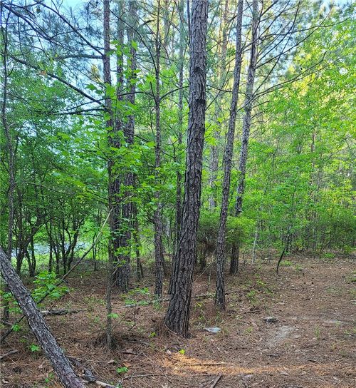 000 O B Brown Rd, Auburn, AL, 36830 | Card Image