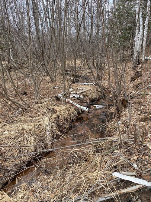 000 Highway 23, Holyoke, MN, 55749 | Card Image