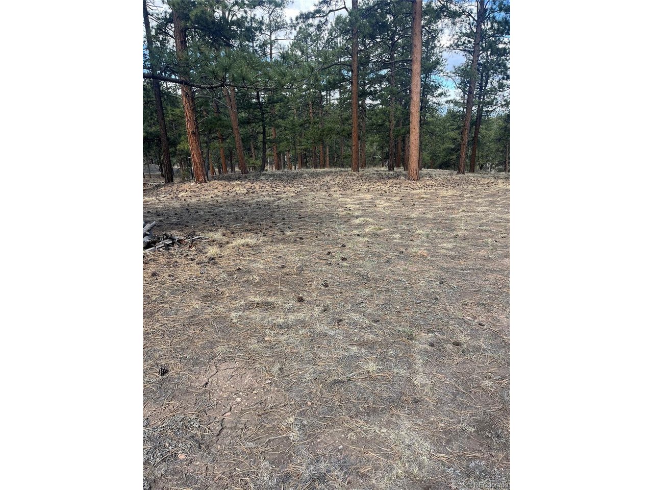 Land in Westcliffe