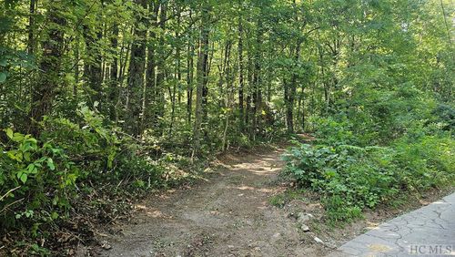 811 Eastside Duck Mountain Rd, Scaly Mountain, NC, 28775 | Card Image