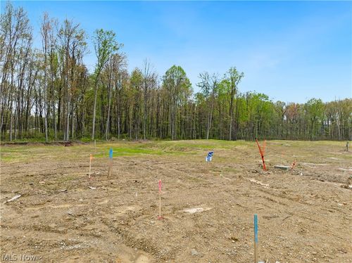 9525 River Birch Run, Brecksville, OH, 44141 | Card Image