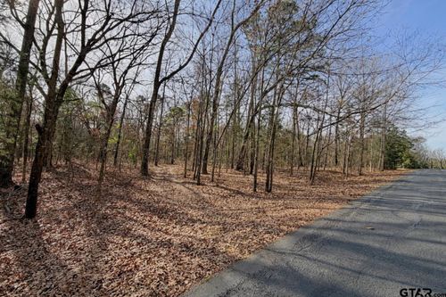 LOT 130 &amp; 131 Canadian, Scroggins, TX, 75480 | Card Image