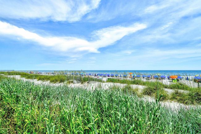 330 - 1105 S Ocean Blvd, Condo with 1 bedrooms, 1 bathrooms and null parking in Myrtle Beach SC | Image 37