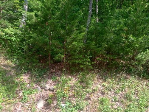 LT 233 Stone Cliff Dr, Ellijay, GA, 30536 | Card Image