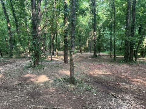 Land in Murfreesboro 4