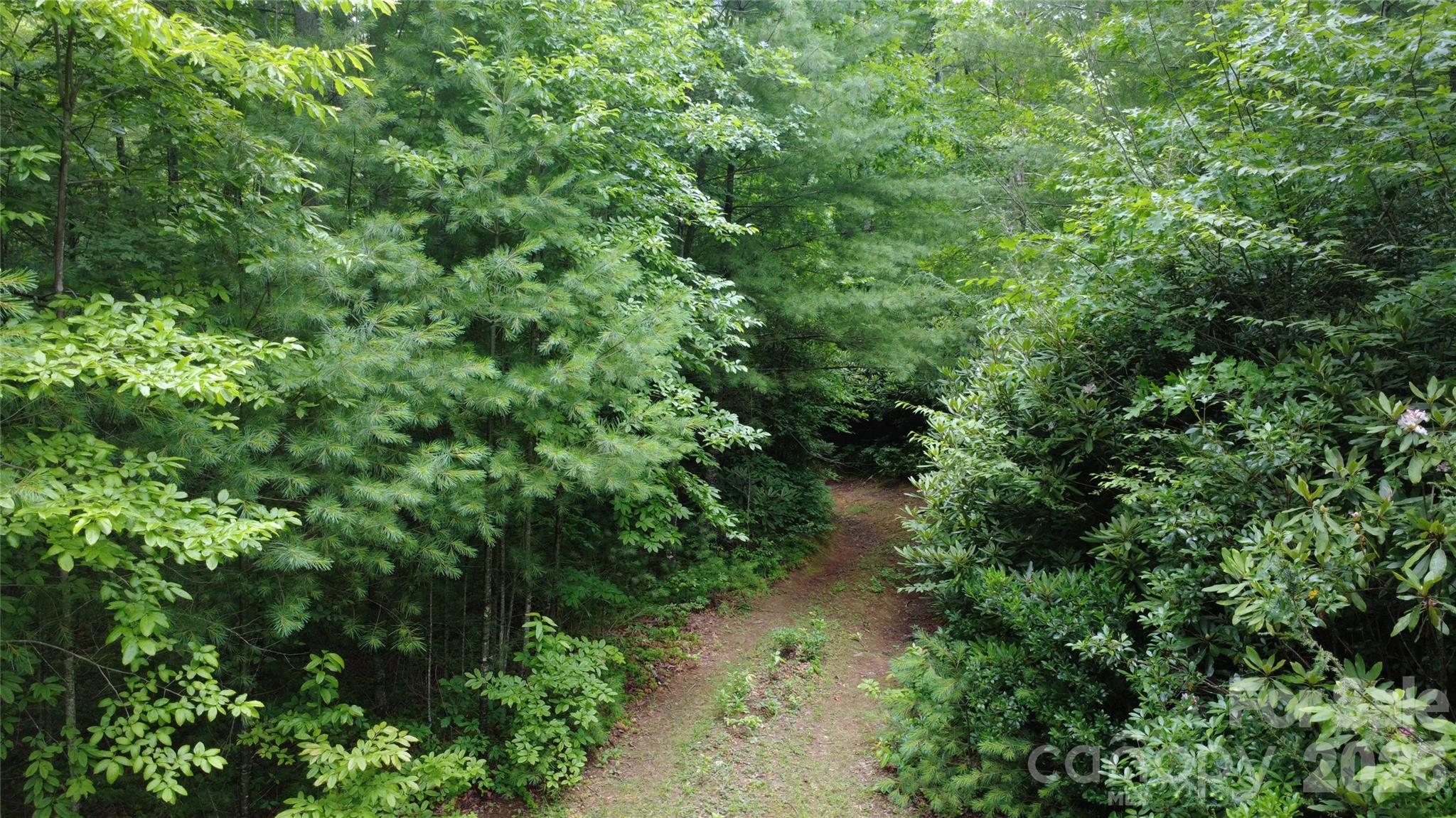 Land in Lenoir 3