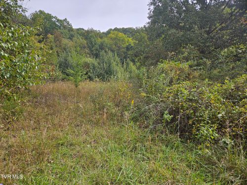 Lot 7 & 8 Old Jonesboro Rd, Bristol, VA, 24202 | Card Image