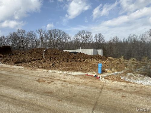 733 Blake Dr, Hillsboro, MO, 63050-4944 | Card Image