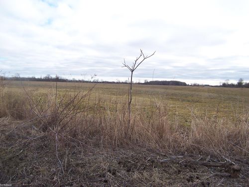 Lot E Stoddard Rd, Columbus, MI, 48063 | Card Image