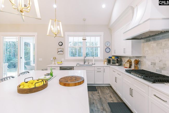 1132 Dan Comalander Rd, House other with 3 bedrooms, 5 bathrooms and null parking in Chapin SC | Image 20