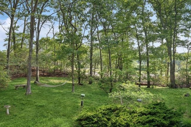 View of grassy yard | Image 17