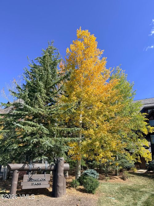 313-50 Peakview, Avon, CO, 81620-5643 | Card Image