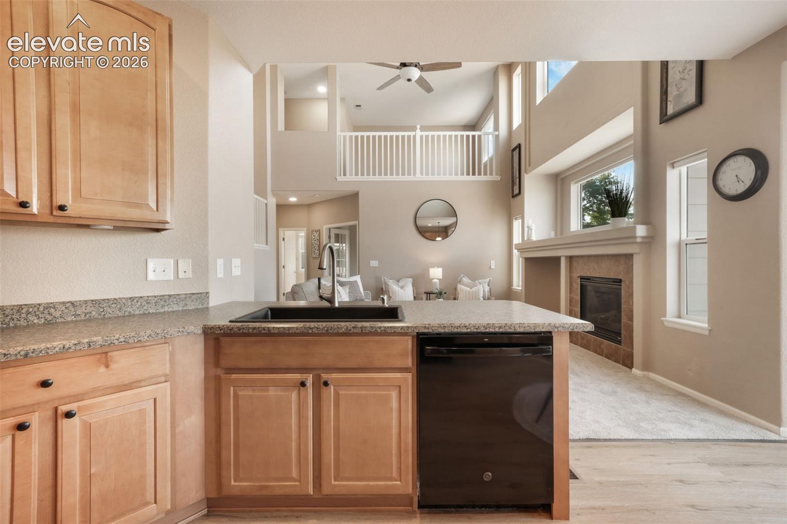 Residential in Castle Rock 2