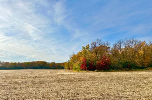 TBA 850th Ave, Glenville, MN, 56036 | Card Image