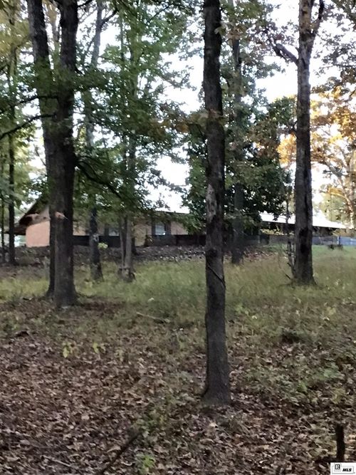 1007 Rene Road, Farmerville, LA, 71241 | Card Image