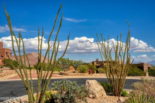 1328 Techo Alto Pl, Las Cruces, NM, 88007-9031 | Card Image