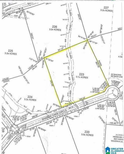 223-2006 Shadow Oaks Cir, WILSONVILLE, AL, 35186-6983 | Card Image