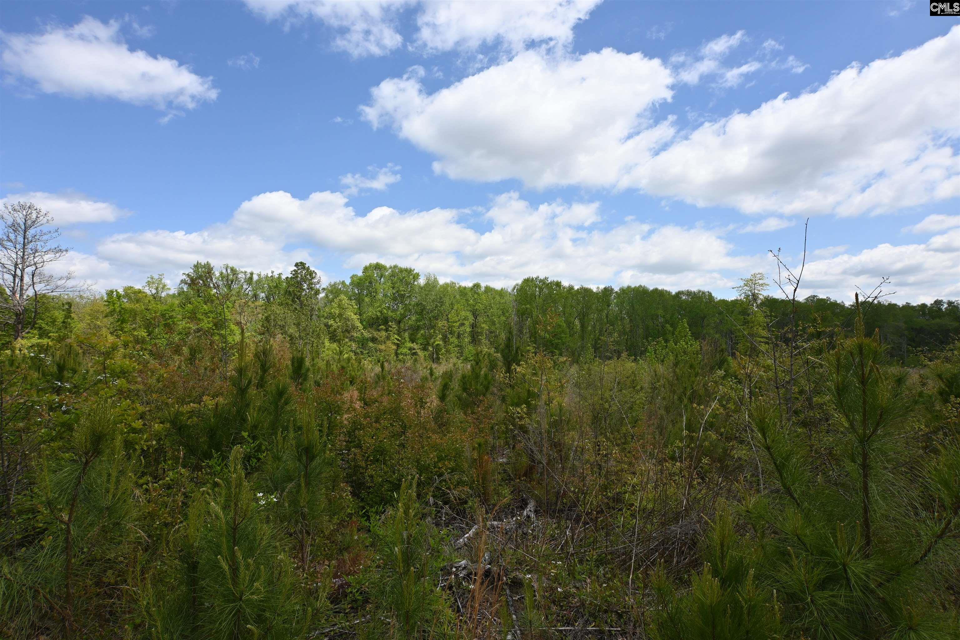 Land in West Columbia 5