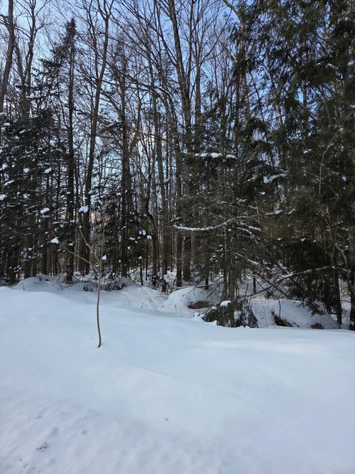 lot-2-ON Northwoods Ln, Elcho, WI, 54428 | Card Image