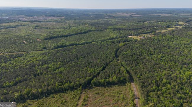 949 Marion Ripley Rd, Home with 0 bedrooms, 0 bathrooms and null parking in Dry Branch GA | Image 6