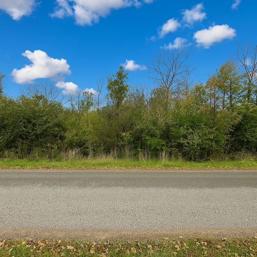 LOT 15 Martin Rd, Newburgh, ON, K0K | Card Image