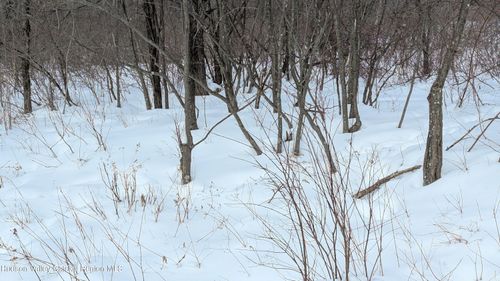 0 High Peak Rd, Hensonville, NY, 12439 | Card Image