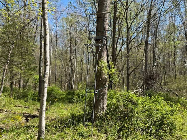 view of landscape featuring a forest view | Image 23